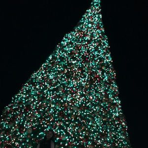 Meet your Posher, Jess